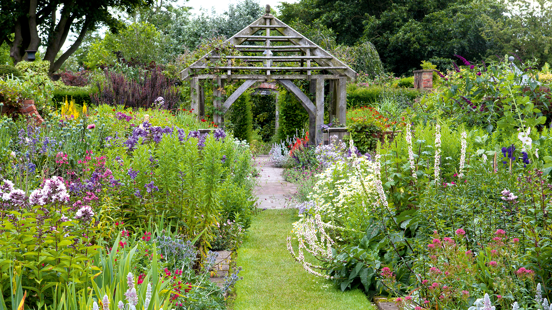 How to Start and Maintain an Eco-Friendly Kitchen Garden